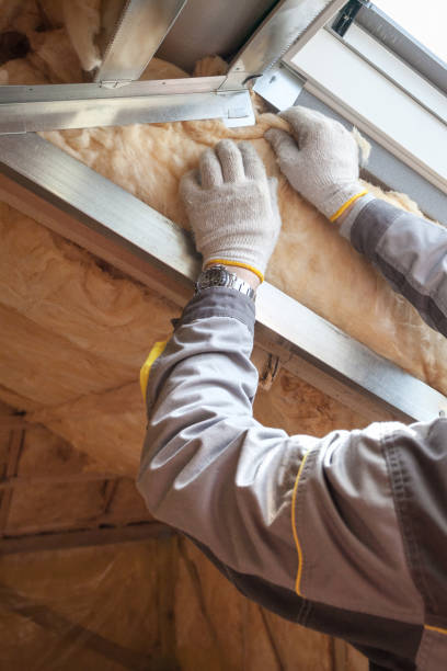 Trusted Panthersville, GA Insulation Experts